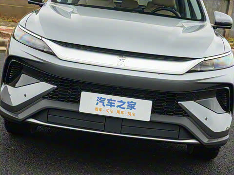 2026�� DM-i 133KM��Խ��