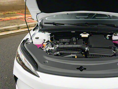 2026�� DM-i 128KM������