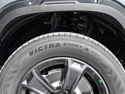 2025�� 2.0T 4WD Pro