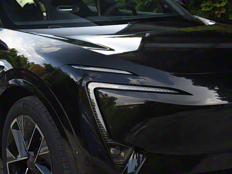 2025�� Max �����