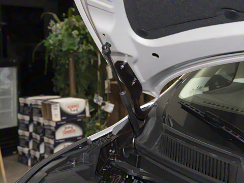 2025�� DM-i ����������