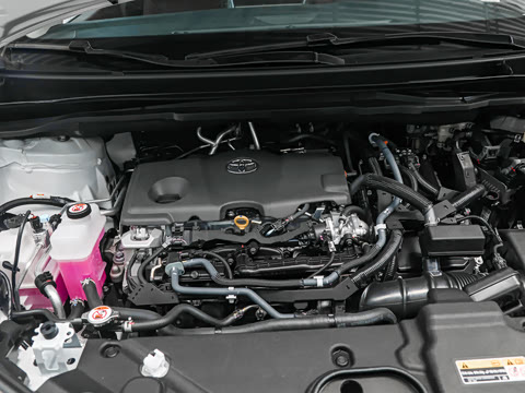 2027�� 2.5L ˫������������