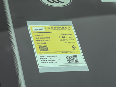 2025�� 25T �׽��