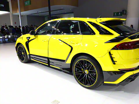 2025�� ����