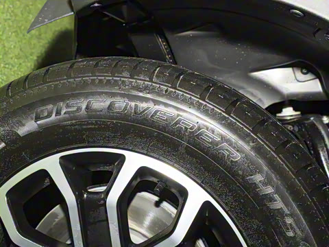 2025�� ̽�������Զ��� ����