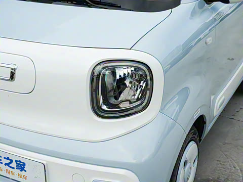 2026�� 222km ��ҫ��