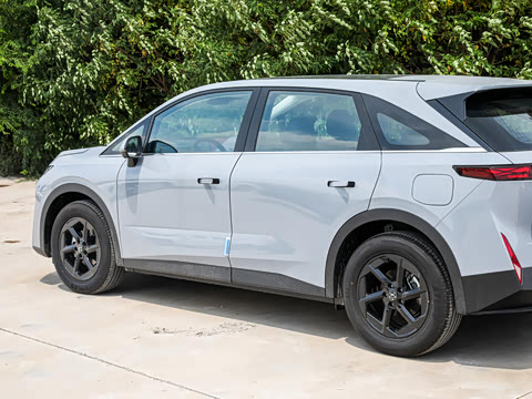 2026�� ��ƽ�� ������������