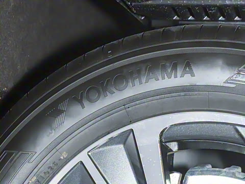 2025�� 300 ����������