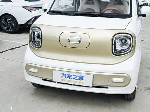 2026�� 222km ��ҫ��