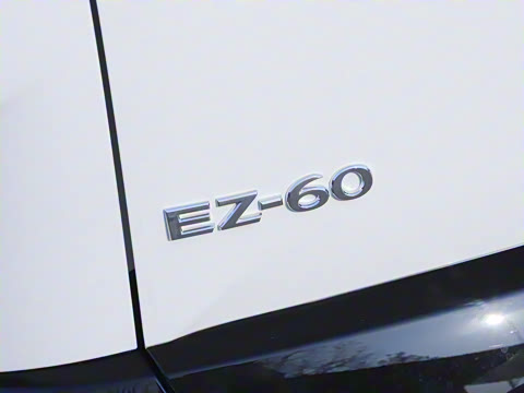 2025�� ����600 Max