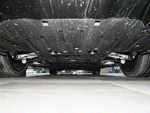 2026�� Max �����