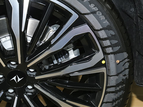 2026�� �������̳����