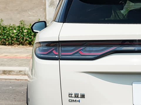 2026�� DM-i 310KM ��Խ��