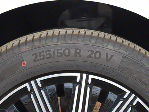 2025�� EV �������������