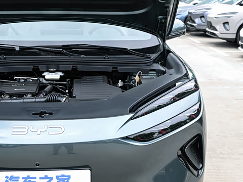 2025�� DM-i 205�캽Pro��