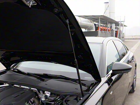 2026�� 55 TFSI quattro ����������