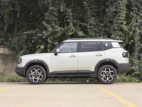 2025�� 147km ��������