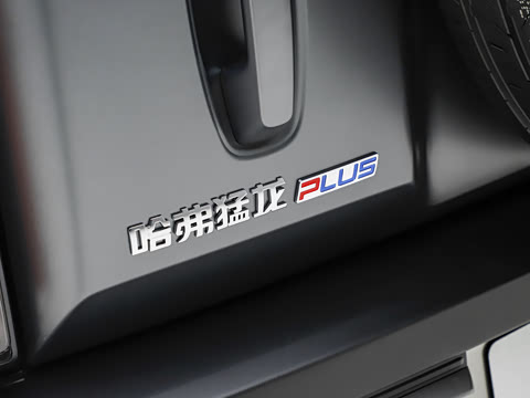 2026�� 255km ������