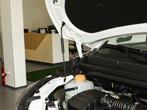 2025�� 2.0L �Զ���������� 7��