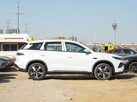 2026�� DM-i 220KM��Խ��