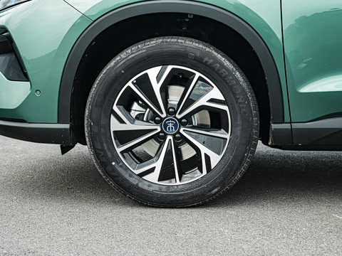 2026�� DM-i 133KM��Խ��
