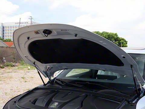 2025�� �Ǽݰ� DM-i 175KM �����