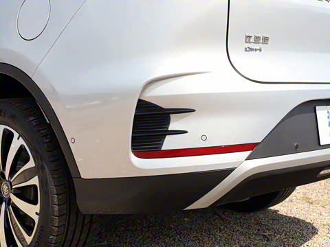 2025�� �Ǽݰ� DM-i 175KM �����