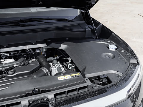 2026�� Max ������