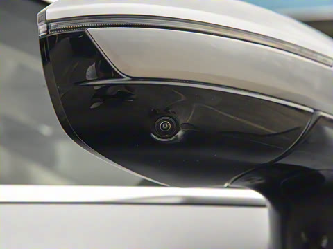 2025�� 260��������������