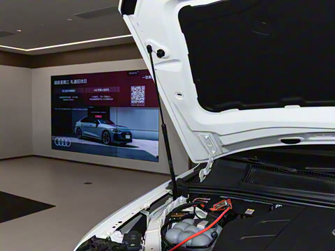 2025�� 55 TFSI quattro S line����ʿ��