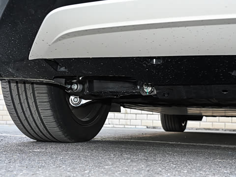 2026�� Max������