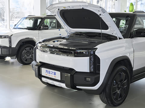 2025�� 520���������