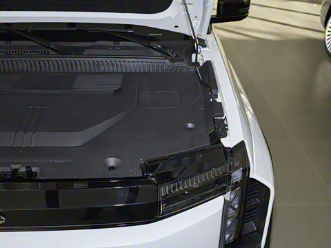 2025�� 520���������