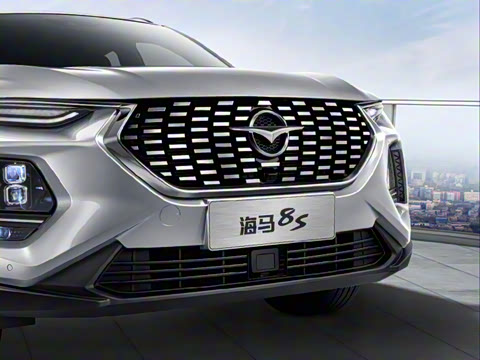 2020�� 1.6TGDI �Զ�������