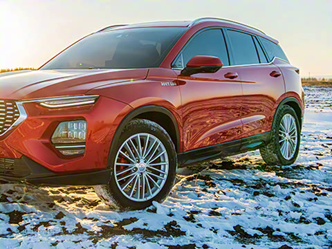 2020�� 1.6TGDI �Զ�������