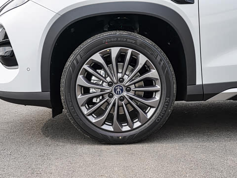 2026�� DM-i 205KM ��Խ��