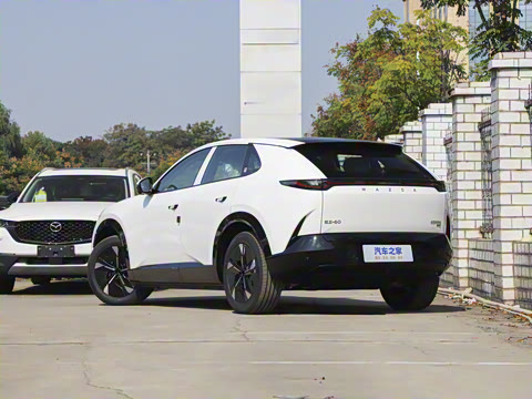 2025�� ����600 Pro