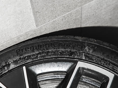 2025�� Elite�����