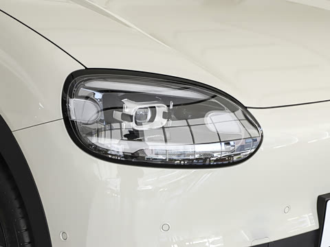 2026�� 310������