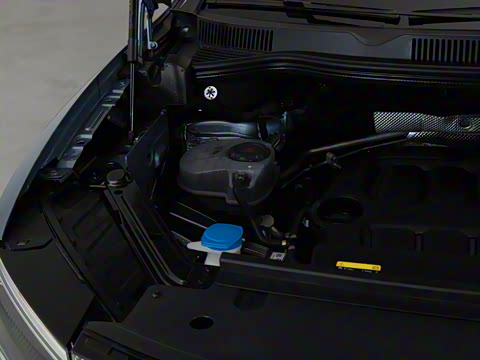 2026�� 450TSI �������� 7��