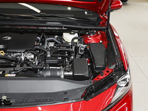 2026�� ˫�� 2.0HGVP ������