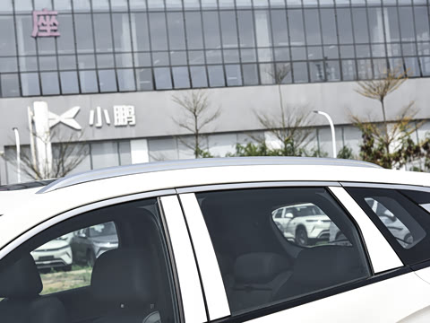 2026�� DM-i 220KM��Խ��