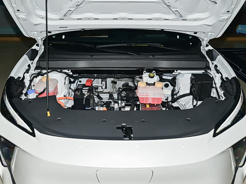 2025�� 530�캽��