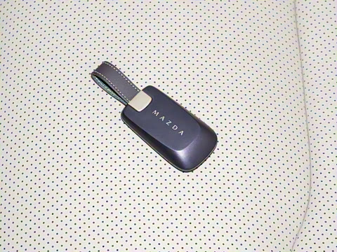 2025�� ����200 Pro