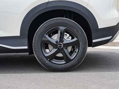 2026�� DM-i 220������