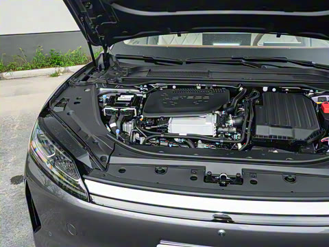 2025�� 260��������������