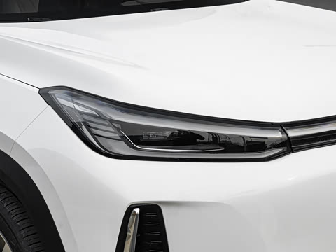 2026�� 225km ����