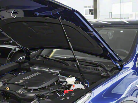 2024�� �Ŀ� 25T ����������