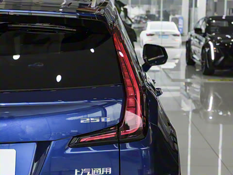 2024�� �Ŀ� 25T ����������