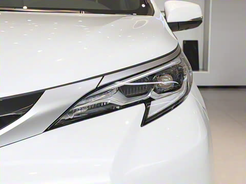 2026�� 2.5L ˫��������������